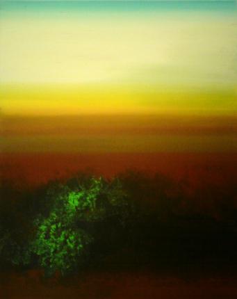 "landscape 6",  2009,  acrylic on canvas,  50 x 40 cm